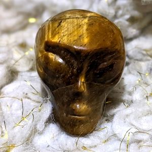 Alien Crystal Skull, Carved Tiger's Eye